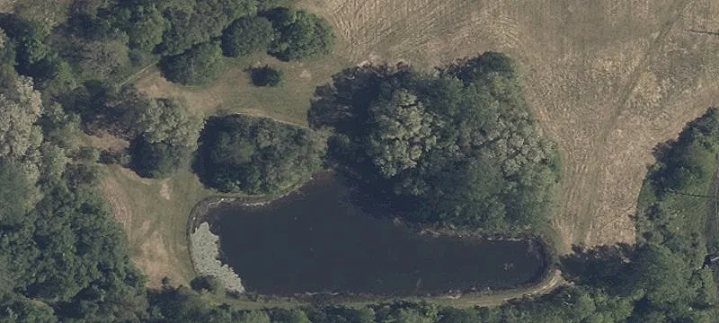 60 Sr