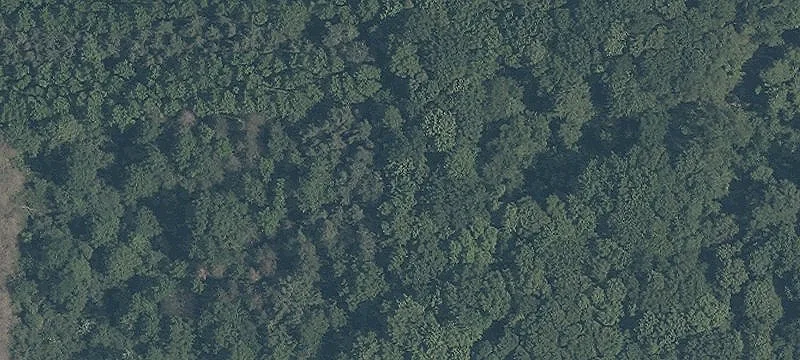 State Rte 44