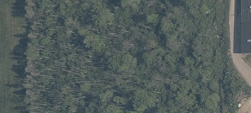 Georgia Rd