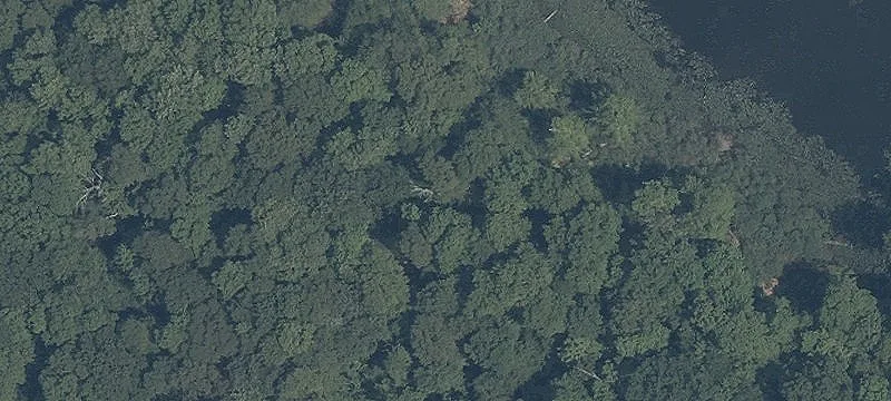Shagbark Trl