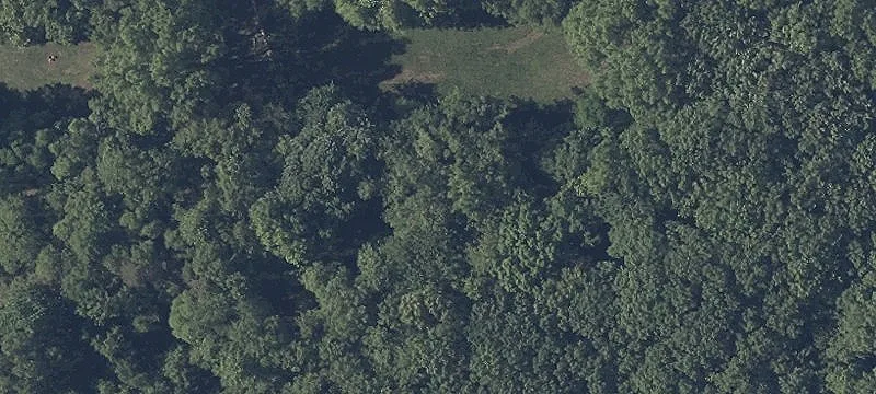 Crossview Rd