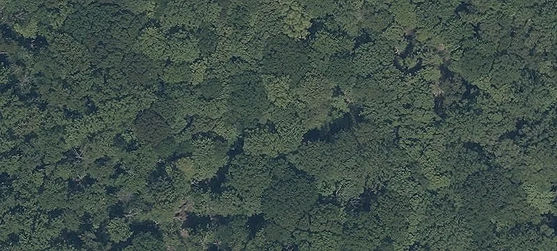 Sill Rd