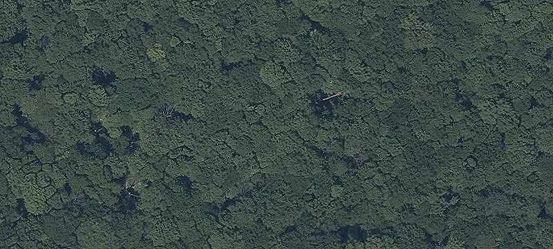 Mechanicsville Rd