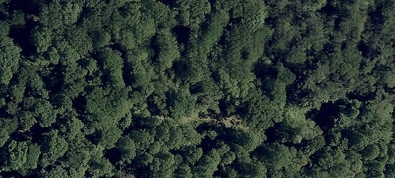Rocky Frk Rd