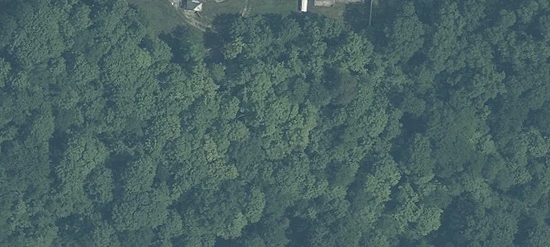 Hickory Ln