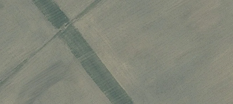 Frnt St