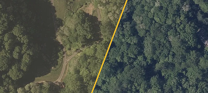 Michelle Rdg Rd