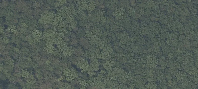 571 Ctr Rd