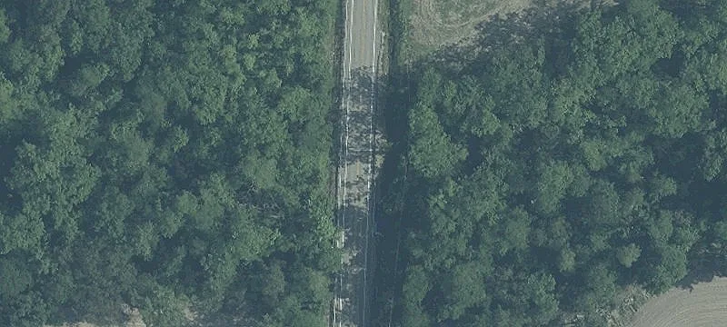 State Rte 251