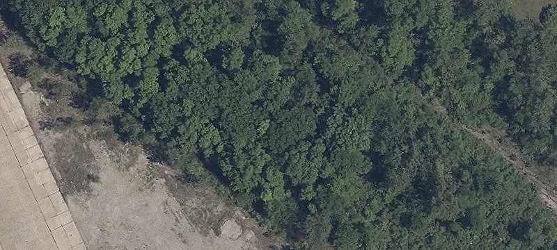 Baumhart Rd