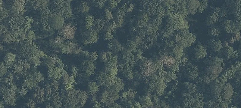 Belle Rd