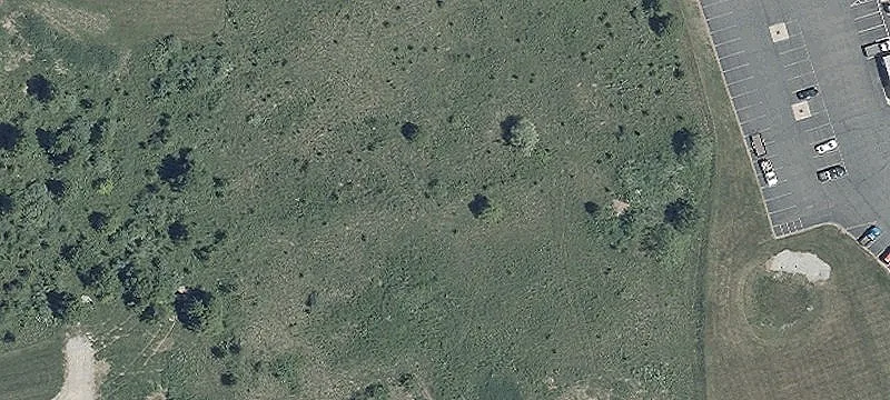 Blackjack Rd