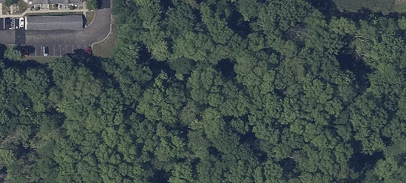 Medina Rd