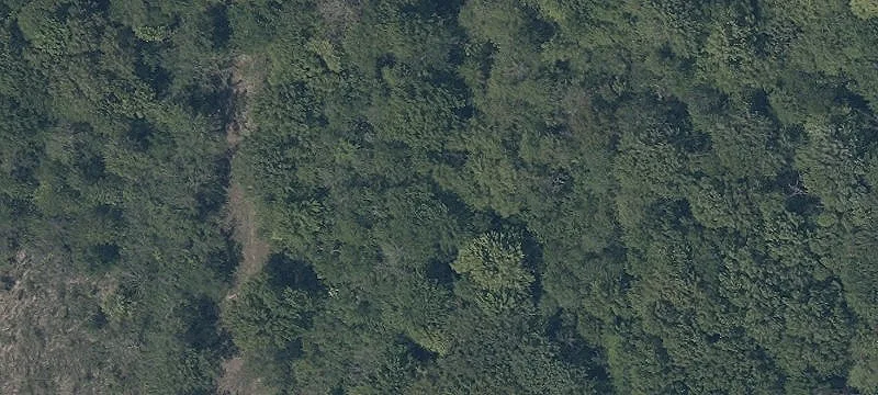 Middle Rd