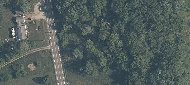 Madison Rd