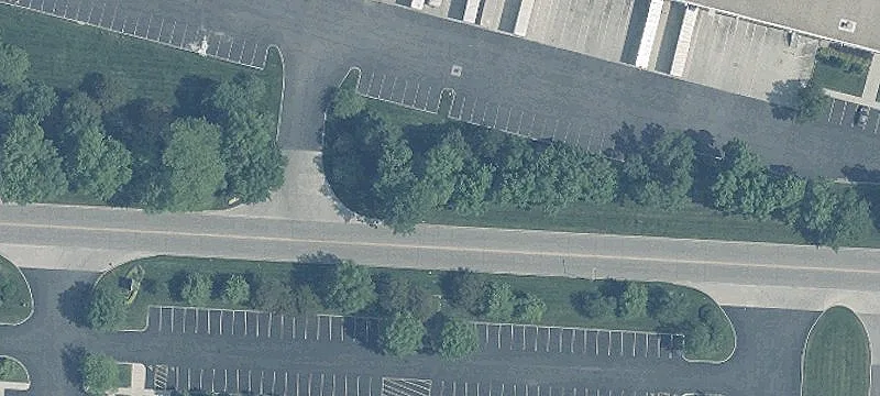 Justus Rd