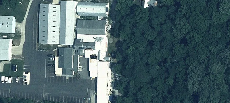 Walnut St