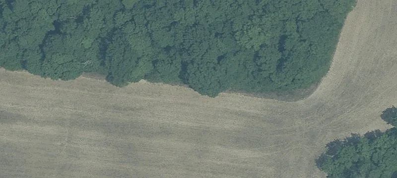 Rte 123