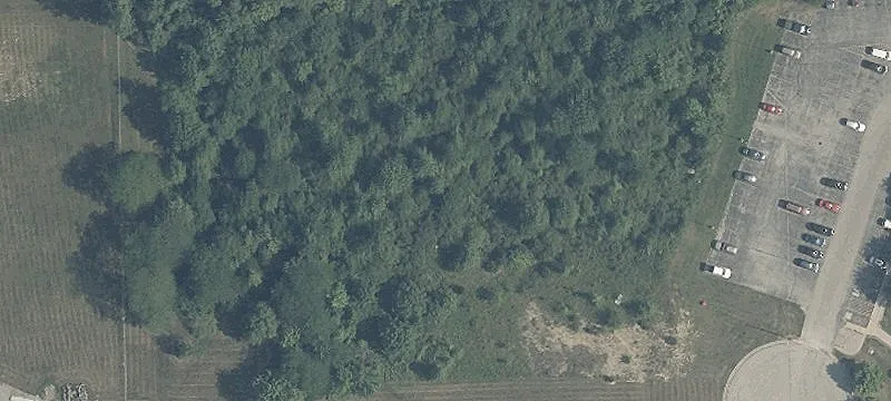 Ferguson Ct