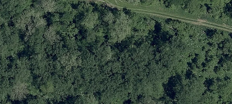 Moots Run Rd