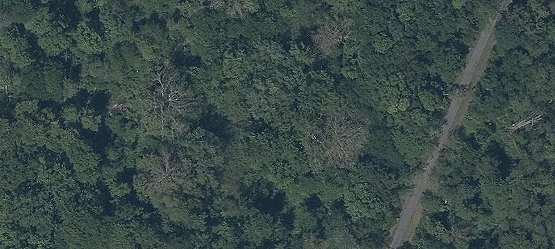 State Rte 45