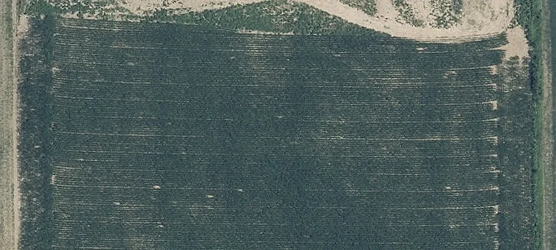 Russia Versailles Rd