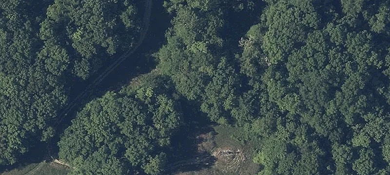 Royalton Rd