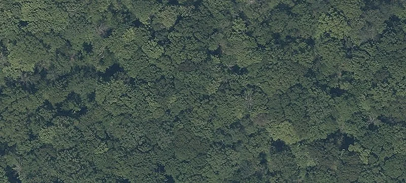 Sill Rd