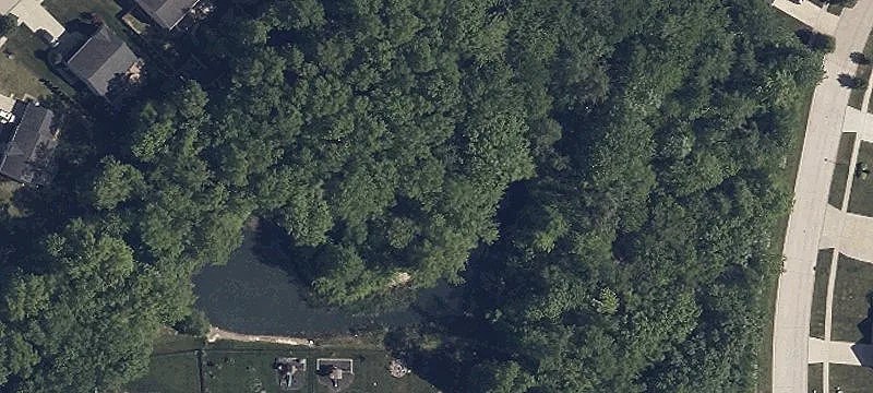 Stag Horn Ln