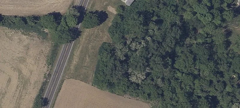 State Rte 98