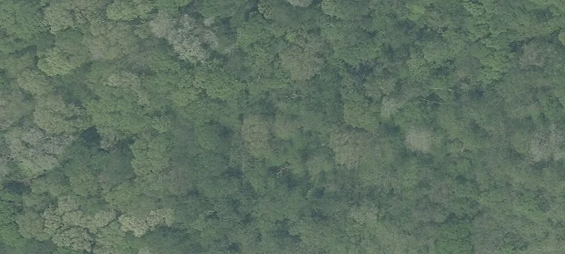 Rocky Frk Rd