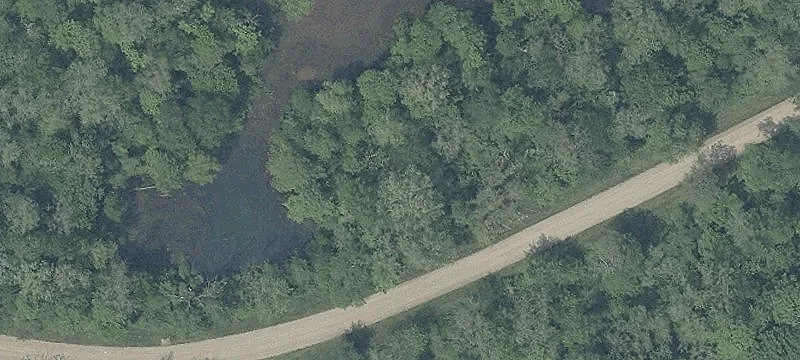 Tr 137