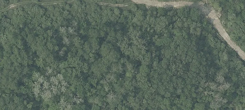 51 Cr