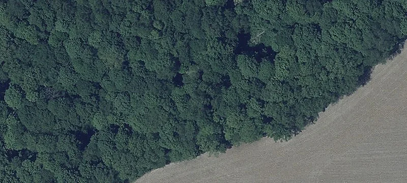 Us 33