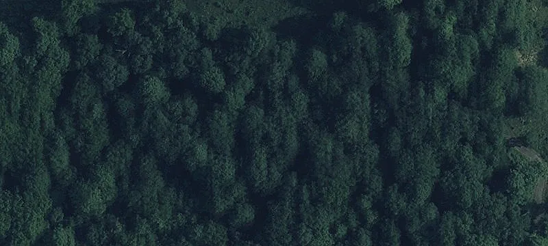 T R 182