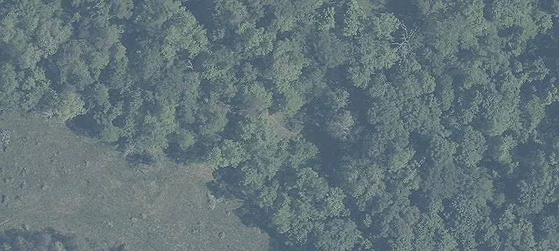 Minerl Card