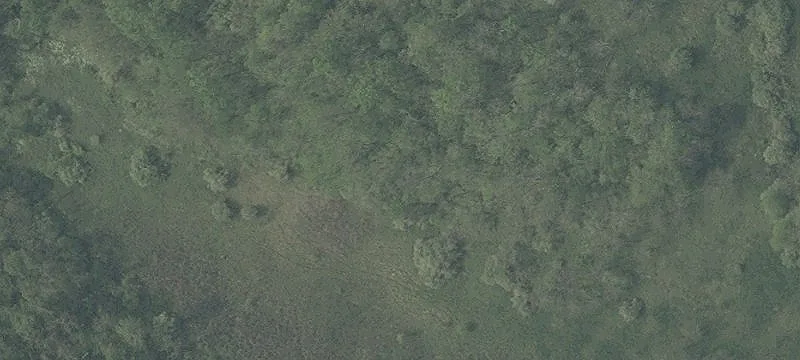 14 Cr