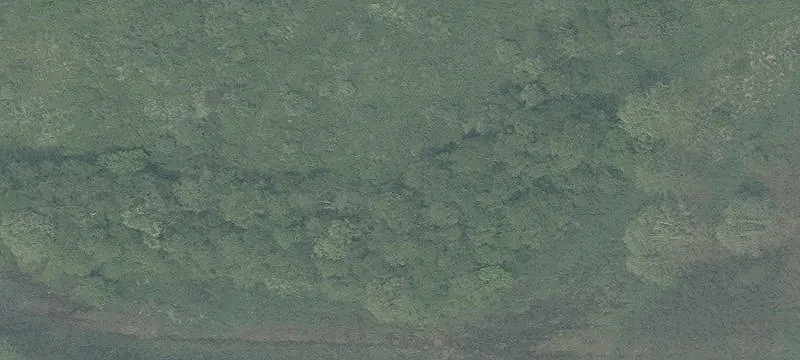Gunn Rd
