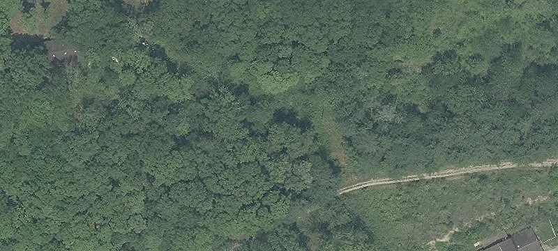 7990 Dozer Rd