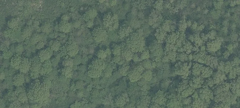 Wintergreen Rd