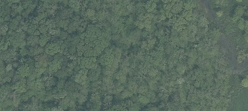 Wintergreen Rd
