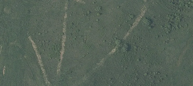 Crimm Rd