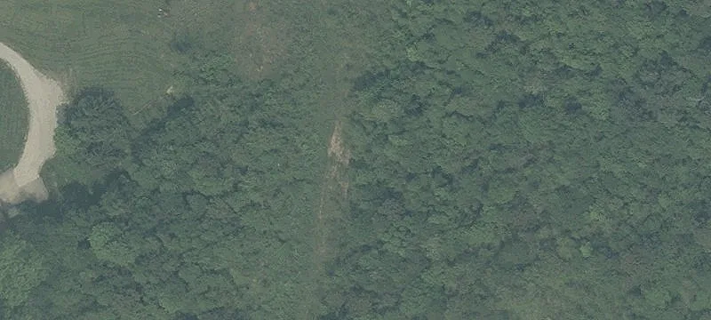Wintergreen Rd
