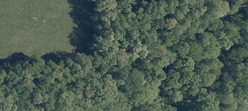 10 Cr