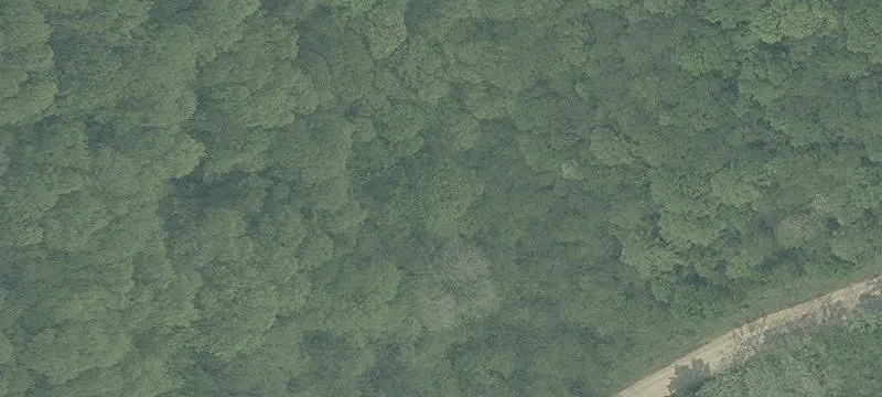 Rocky Frk Rd