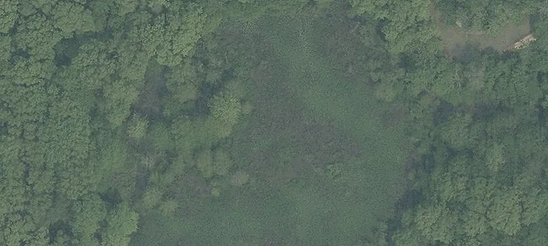 Wintergreen Rd