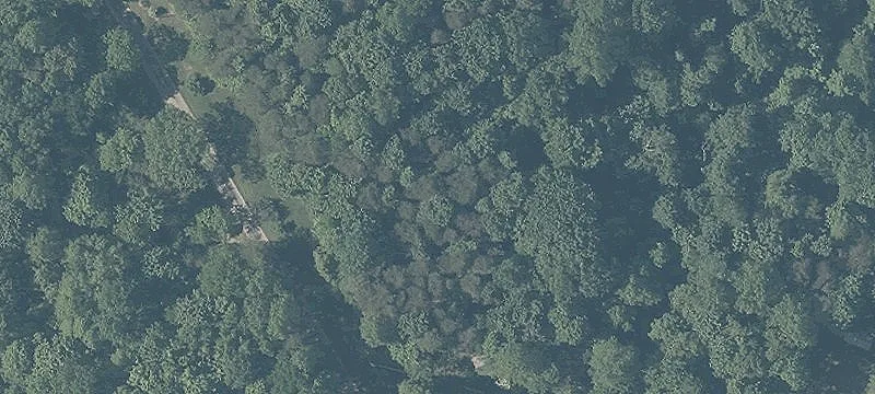 Little Cola Rd
