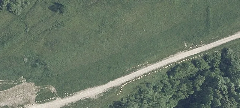 Waymor Rd