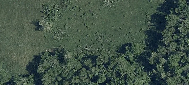 Tr 511