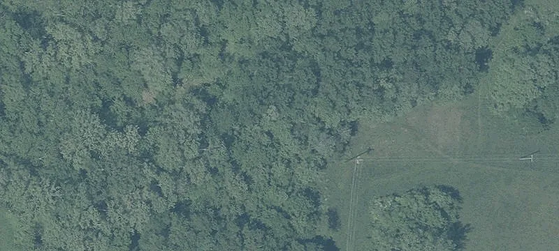 Beaver Pike